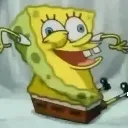 kush kush
