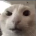 415f0a639d2463563f2dc59ca052db5a