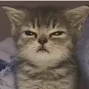 e7e9f36fdcdaabc002430ae63b592509