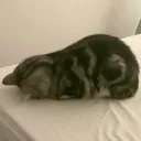 tired