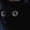 kittyshocked kittyshocked