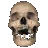 skull_change skull_change