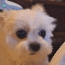 f_wow custom emote from ☽・𝙇𝙪𝙣𝙖𝙧 𝙇𝙤𝙪𝙣𝙜𝙚・☽ 𝘈𝘯𝘪𝘮𝘦 ✦ 𝘔𝘶𝘴𝘪𝘤 ✦ 𝘊𝘩𝘢𝘵