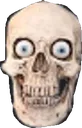 goofyskull