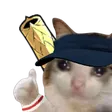 itobCatsaiah