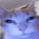 guh1
