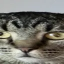 Wide_Luna_2