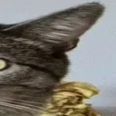 Wide_Luna_3 Wide_Luna_3