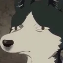 itsuzumibruh