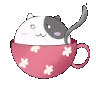 AscR_catmug