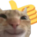 catthumbsup