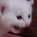 AHHHHHH