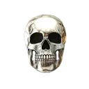 O_chromeskull