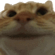 danoleSi Discord emoji