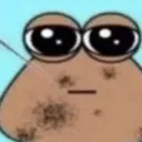 pou