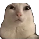 reginald1 reginald1