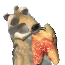 squirreltooth