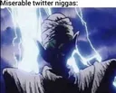 miserabletwitternwahs