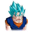 vegeo vegeo