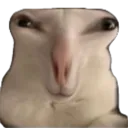 reginaldalien2