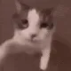 m_beij