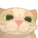 Ploaf