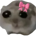 imjustagirl