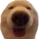 dawg