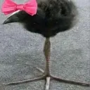 cutefredrick