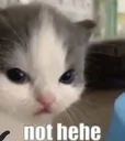 nothehe nothehe