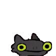 draqyawn