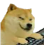 typing_doge