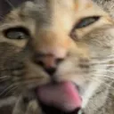 millibleh