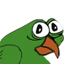 pepe_bird