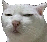 MHSC_SusCat Discord emoji