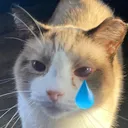 billy_sad