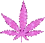 marijuana_pink