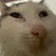furaPLOXA