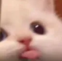 bleh bleh