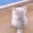 meow_meow meow_meow
