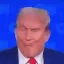 ID_trumpmew