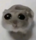 :SAD: