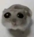 SAD SAD
