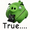 true_photog