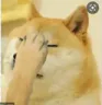 huh huh