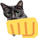 brofistcat