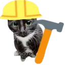 hardworkercat
