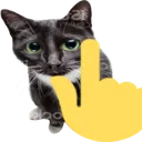 pointingupcat