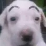 guh