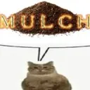 MULCH